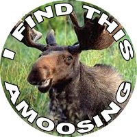 Moose Chuckle Tags(@MooseChuckleTag) 's Twitter Profile Photo