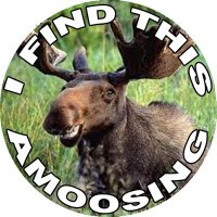 Moose Chuckle Tags (@moosechuckletag) Twitter profile photo