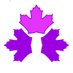 Dravet Canada (@dravetcanada) Twitter profile photo Dravet Canada (@dravetcanada) Twitter profile photo