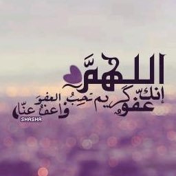 0yl6UDppDFI1B1l's profile picture. 