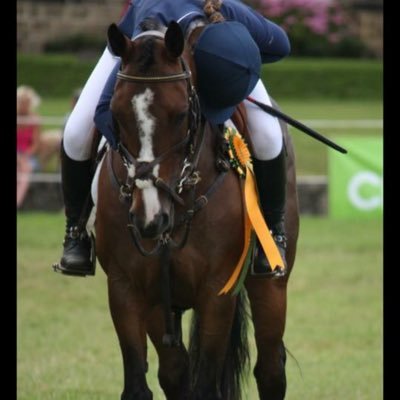 BEU18 rider, competing at BE and FEI PT and 1* Was on the frickley u18 regional championships coming 5 individually 2016 and aiming for the GB team 2018
