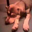 jenna cullen - @justinfan01kitt - Twitter