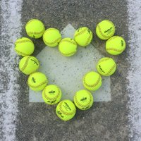 CS Softball (@cs_panthers_sb) 's Twitter Profile Photo CS Softball (@cs_panthers_sb) 's Twitter Profile Photo