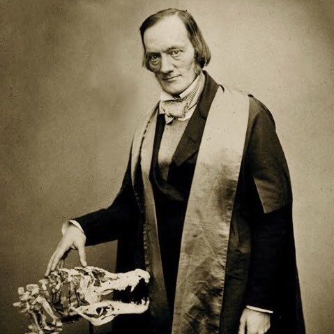 Neville is a Laboratory Head with the Baker Heart and Diabetes Institute and Distinguished Professor in Health Sciences at Swinburne University of Technology