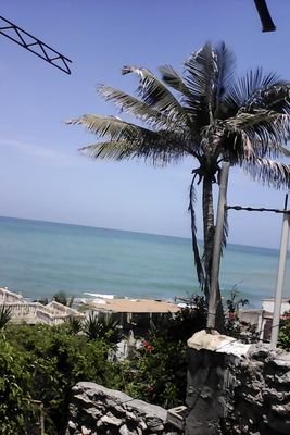 EucarisSofia1's profile picture. 