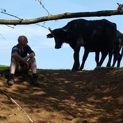 NIbuffalo's profile picture. 