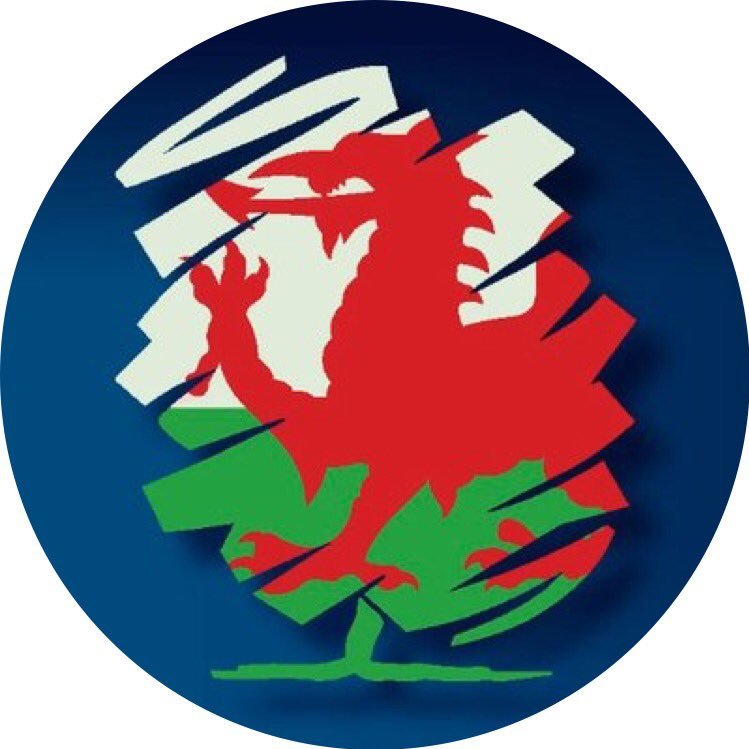 Brecon, Radnor & Cwm-Tawe Conservatives