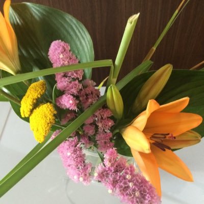 openrange942's profile picture. 砂