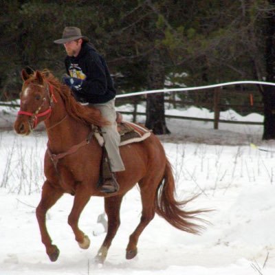 bringemtruth's profile picture. #MySuperBowlChamps #Patriots ❤️ #TomBrady #12