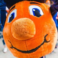 Otto The Orange(@TheOttoOrange) 's Twitter Profile Photo