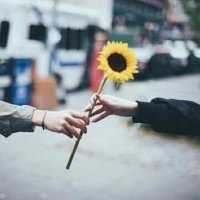 سومه|هنود|نوار😻🖖 (@soomasooma799) 's Twitter Profile