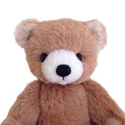 Cotoro Bear テディベア ぬいぐるみ