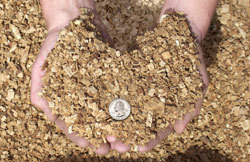 BiomassHeating's profile picture. Complete biomass combustion systems using state of the art technology for schools, businesses, and more 
(603)257-1310