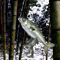 書肆鯖【ショシサバ】 (@bookssubba) 's Twitter Profile Photo 書肆鯖【ショシサバ】 (@bookssubba) 's Twitter Profile Photo