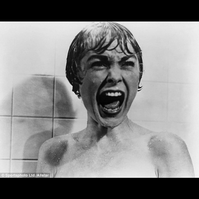 74_matou's profile picture. 🌿🌱animal lover🌿