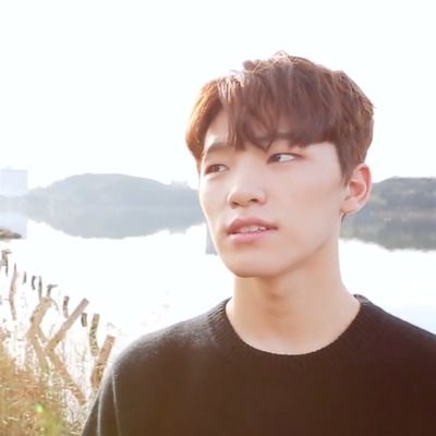 jinseohhh's profile picture. seventeen supporter