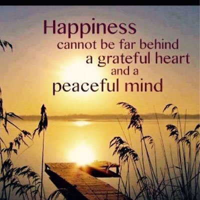 WhollyHaleLifestyle- an integrative nutrition health coaching program for body mind and spirit. Better movement, better food, better thinking, better living