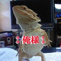 カトちゃんペッ! 「チョットだけよ!アンタも好きね~!」 =男はつらいよ!漢は… 「蛇日和!」 (@katochanpet_ok) 's Twitter Profile Photo カトちゃんペッ! 「チョットだけよ!アンタも好きね~!」 =男はつらいよ!漢は… 「蛇日和!」 (@katochanpet_ok) 's Twitter Profile Photo