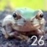 kozica26's profile picture. 時代劇まだまだ初心者＆そこそこ長くゲーム。逃亡者おりん命！昭和の日本映画とドラマ。羊毛フェルトは休み気味。テレビ実況もします。最近テレビはBSがアツい。フォローは気軽にどうぞ。

プロフィール画像は近衛十四郎「無法者の虎」スチル…らしい。あまりに表情が素敵なので設定しました。