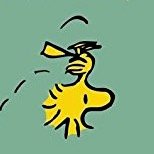 CheepTalk84's profile picture. I live in my own little world.
But it’s okay...they know me here.