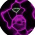 Torii Lab (@stomata_tweets) Twitter profile photo Torii Lab (@stomata_tweets) Twitter profile photo