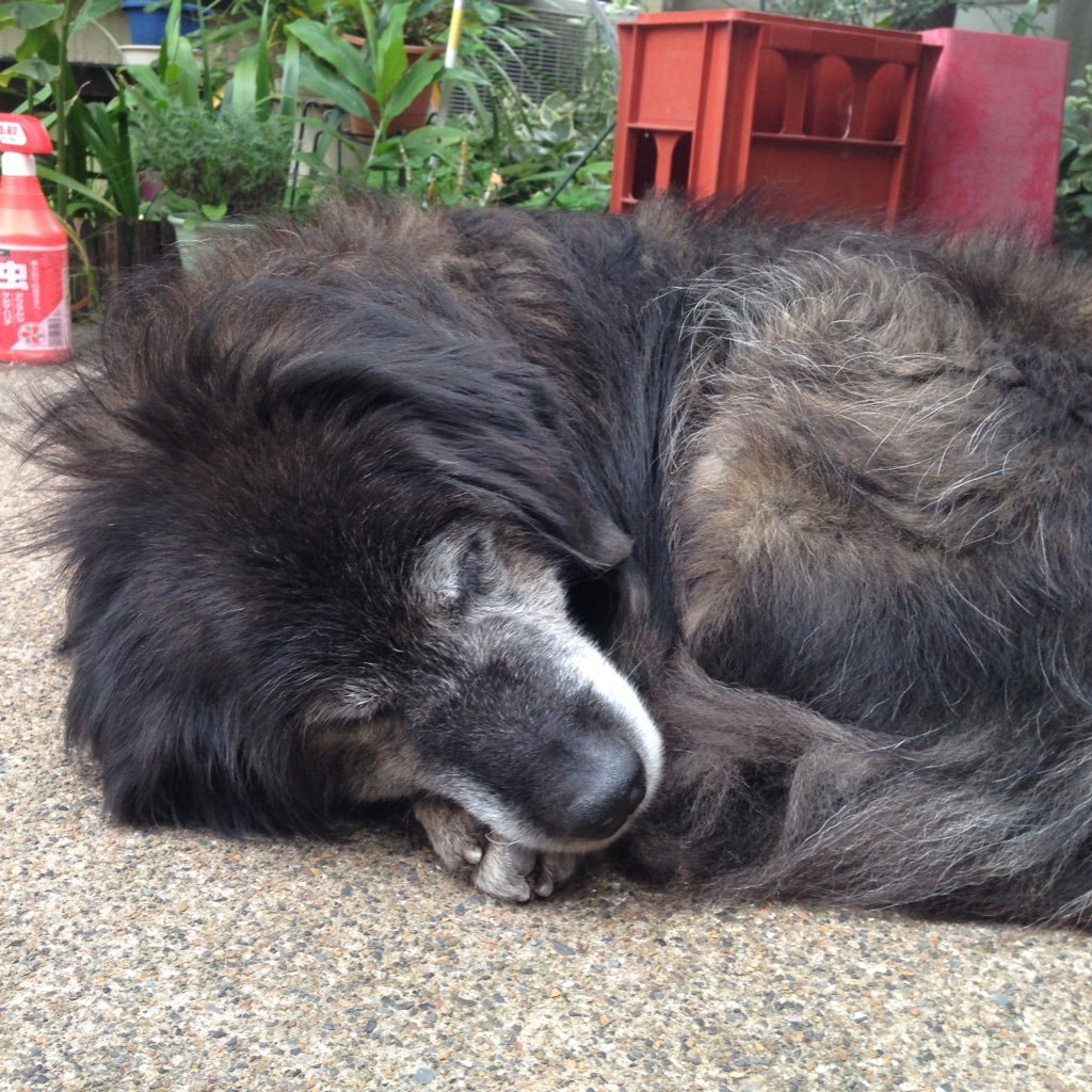 jam_jam7421's profile picture. 印刷をするコロップの栓
宣伝が下手