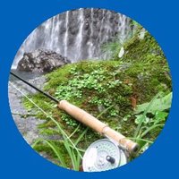 rzr (@rzryw) 's Twitter Profile