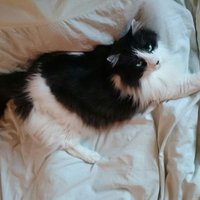 ぽん (@poohpoohmm21) 's Twitter Profile Photo