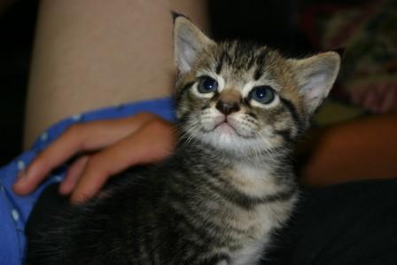 daikyokaihatsu's profile picture. 弊社は今年で創業３０年目の不動産会社です。主に売買仲介をしています。私の趣味は居合道です。ちなみに段位は居合道５段です