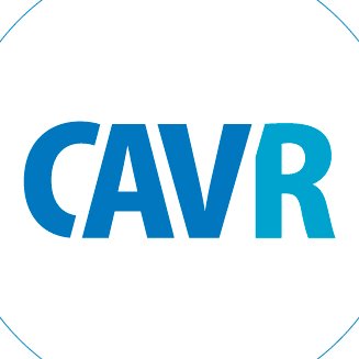 Centre for Armed Violence Reduction (CAVR)