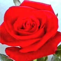 あーる@冒涜の悪魔無限回収 (@mrmr369) 's Twitter Profile Photo