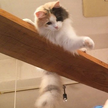 mayu_11_05's profile picture. 