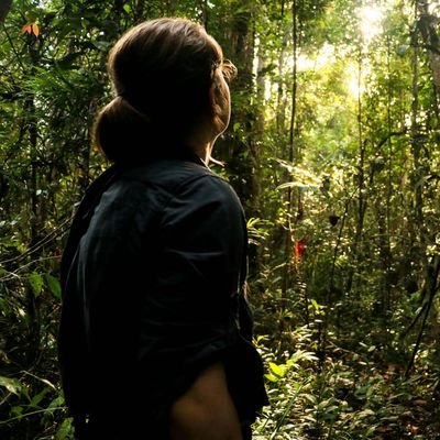 PhD candidate at the University of Neuchâtel studying vocal development in chimps. AKA professional animal stalker