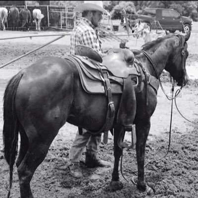 clem_colton's profile picture. SC:colton-clem