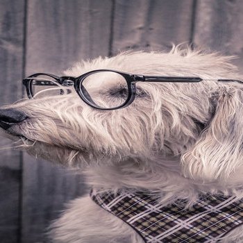 UniqueShopping2's profile picture. The UNIQUE SHOPPING is a online store here u can find wide rang of products with price comparison table from different branded stores.