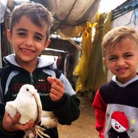 WeTheSyrians (@coniprofughisir) 's Twitter Profile