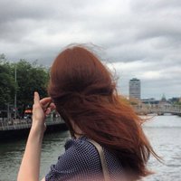 Maeve Towey (@maevetowey) 's Twitter Profile