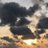 nasser_771's profile image