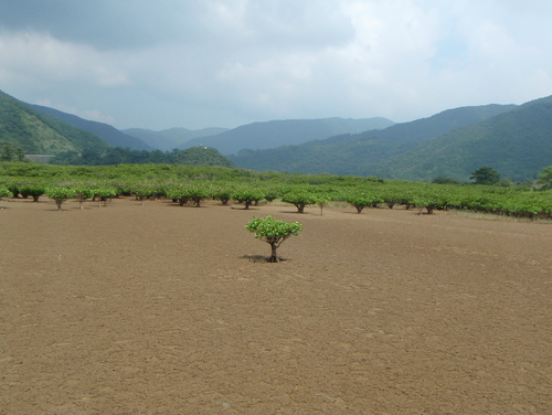 kazutoshim's profile picture. 放射線でがんを治療する放射線治療医です。初期研修中は高度救急救命センターで研修してました。
特技は水球と背泳ぎ。ドラムもちょっと叩けます。
趣味はダイビング。
iPhoneユーザーで、最近急にIT化が進んでいます。