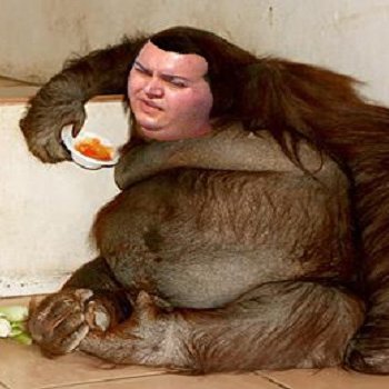 FALETEHD_FIDGET's profile picture. 