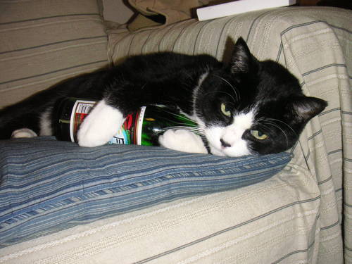 munanamu358's profile picture. 