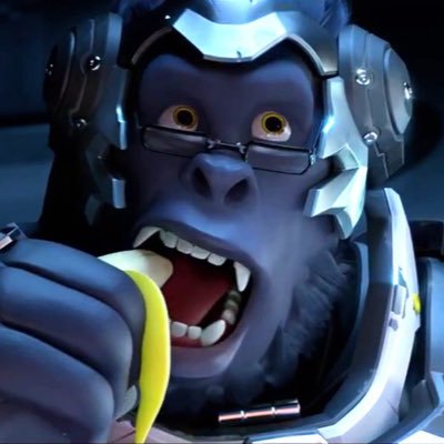 Hi there! Highly intelligent scientist primate. Member of Overwatch. Loves cat pictures.