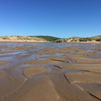 Laurie Windsor (@lauriewindsor) 's Twitter Profile Photo