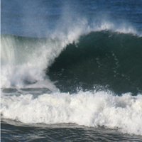 Waves_SF (@waves_sf) 's Twitter Profile