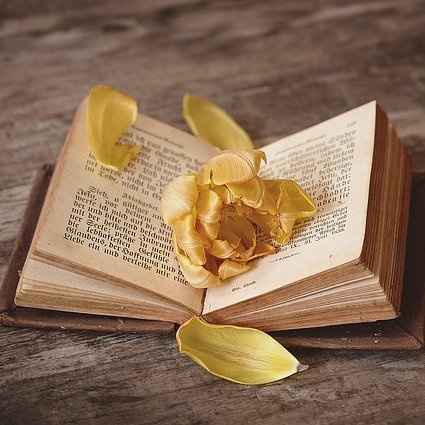 ryderedges's profile picture. Thriller and sci-fi writer, lover of dystopian fiction.