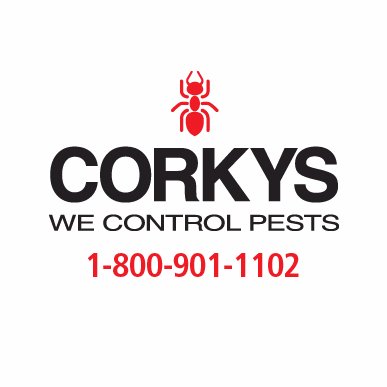Residential and Commerical Pest Control LIKE US ON FACEBOOK https://t.co/UQXjV9zxDK