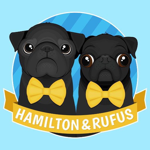 #PugChat - Wednesdays at 7:00pm EST Hosted by @HamiltonPug & @realrufuspug