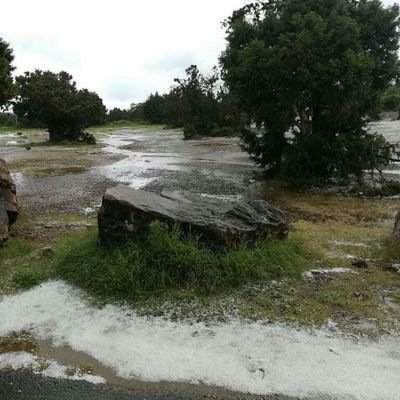 XmppUl's profile picture. .