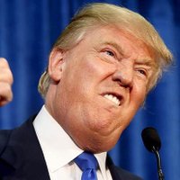 Hate the Donald (@hatethedonald) 's Twitter Profile