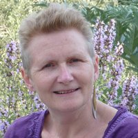 Andrea Streit (@acestreit) 's Twitter Profile